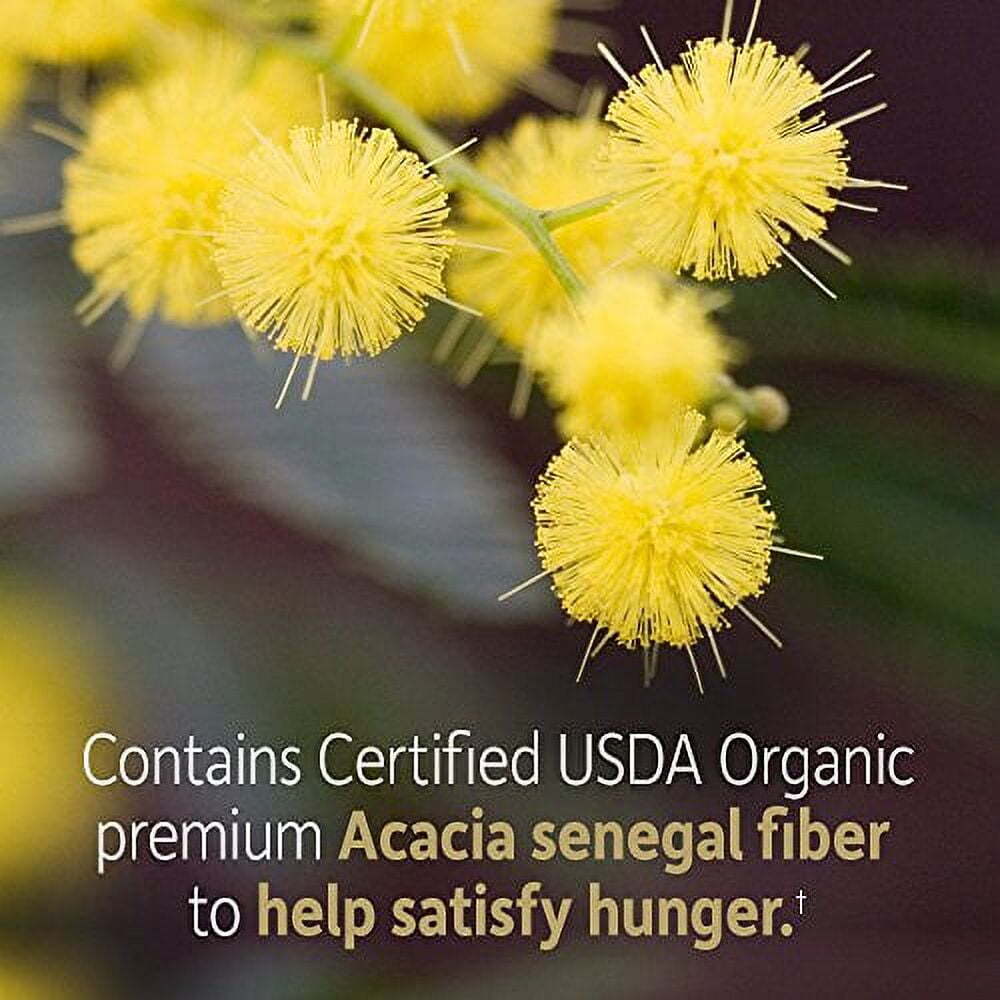Garden of Life Dr Formulated Organic Fiber Supplement Powder Unflavored, Sugar