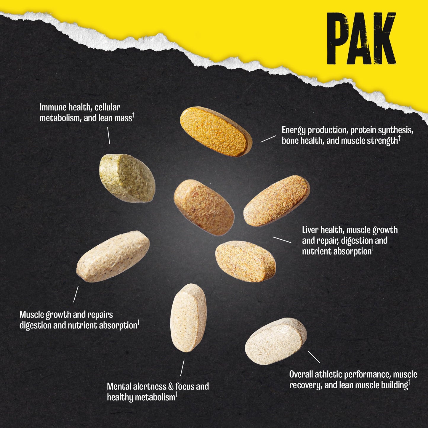 Animal Pak - Convenient All-in-One Vitamin & Supplement Powder - Zinc, Vitamins C, B, D, Amino Acids, Immune Support, Digestive Enzymes, and More - Daily Multivitamin for Women & Men - 60 Scoops