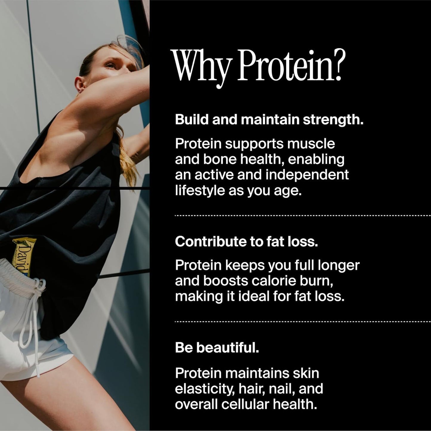 David Protein Bar Cake Batter Pack of 12 Protein Bars | 28g of Protein | 150 ...