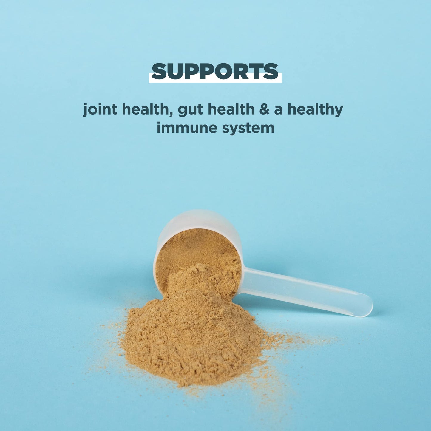 Ancient Nutrition Grass Fed, Cage Free, Bone Broth Protein Powder, 20g Protein, Hydrolyzed Collagen Peptides, Keto & Paleo Friendly, Supports Joint, Gut Health, Vanilla, 20 Servings