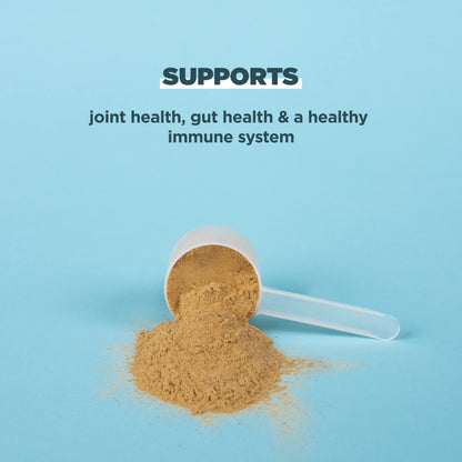 Ancient Nutrition Grass Fed, Cage Free, Bone Broth Protein Powder, 20g Protein, Hydrolyzed Collagen Peptides, Keto & Paleo Friendly, Supports Joint, Gut Health, Vanilla, 20 Servings