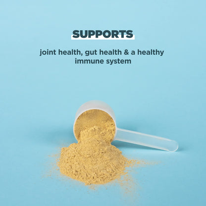 Ancient Nutrition Grass Fed, Cage Free, Bone Broth Protein Powder, 20g Protein, Hydrolyzed Collagen Peptides, Keto & Paleo Friendly, Supports Joint, Gut Health, Vanilla, 20 Servings
