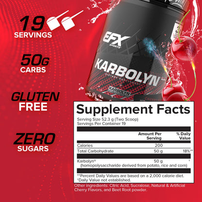 EFX Sports Karbolyn Fuel | Fast-Absorbing Carbohydrate Powder | Carb Load, Sustained Energy, Quick Recovery | Stimulant Free | 39 Servings (Neutral)