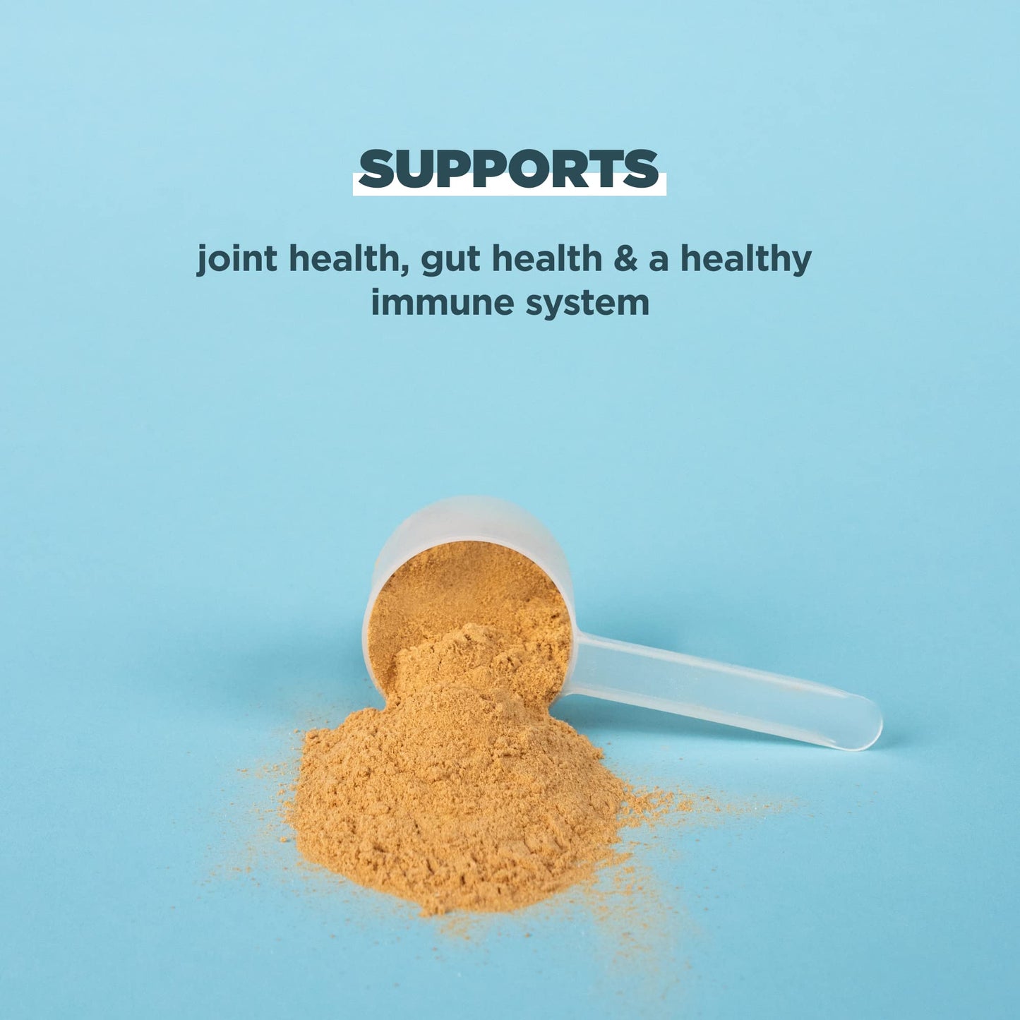 Ancient Nutrition Grass Fed, Cage Free, Bone Broth Protein Powder, 20g Protein, Hydrolyzed Collagen Peptides, Keto & Paleo Friendly, Supports Joint, Gut Health, Vanilla, 20 Servings