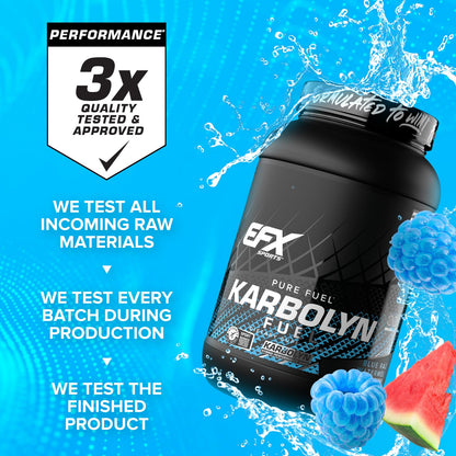 EFX Sports Karbolyn Fuel | Fast-Absorbing Carbohydrate Powder | Carb Load, Sustained Energy, Quick Recovery | Stimulant Free | 39 Servings (Neutral)