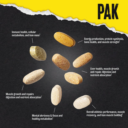 Animal Pak - Convenient All-in-One Vitamin & Supplement Powder - Zinc, Vitamins C, B, D, Amino Acids, Immune Support, Digestive Enzymes, and More - Daily Multivitamin for Women & Men - 60 Scoops