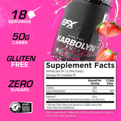 EFX Sports Karbolyn Fuel | Fast-Absorbing Carbohydrate Powder | Carb Load, Sustained Energy, Quick Recovery | Stimulant Free | 39 Servings (Neutral)