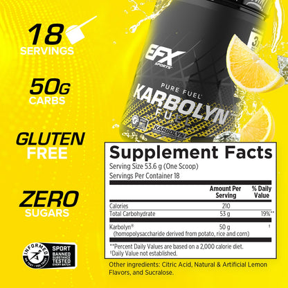 EFX Sports Karbolyn Fuel | Fast-Absorbing Carbohydrate Powder | Carb Load, Sustained Energy, Quick Recovery | Stimulant Free | 39 Servings (Neutral)