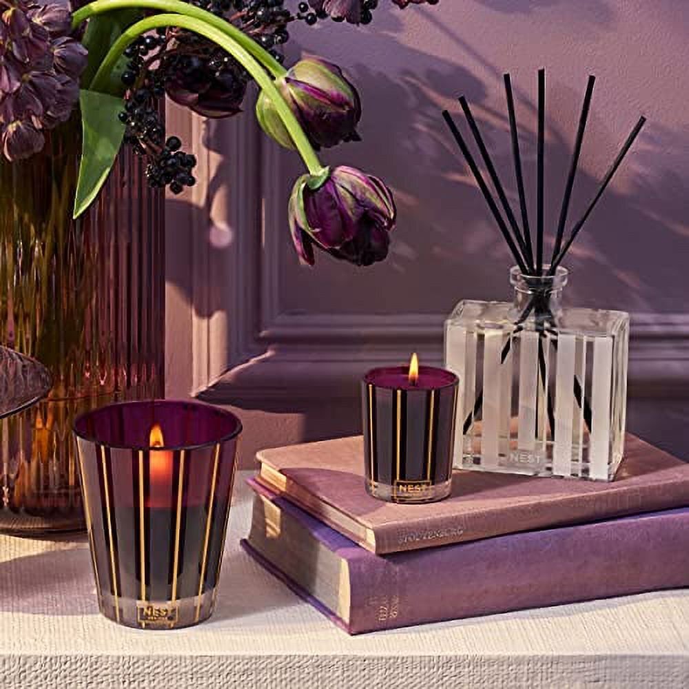 NEST Fragrances NEST New York - Autumn Plum Reed Diffuser