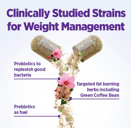 New Chapter Weight Management Probiotic - 30 Capsules (4.8) 4.8 stars out of 66 reviews 66 reviews
