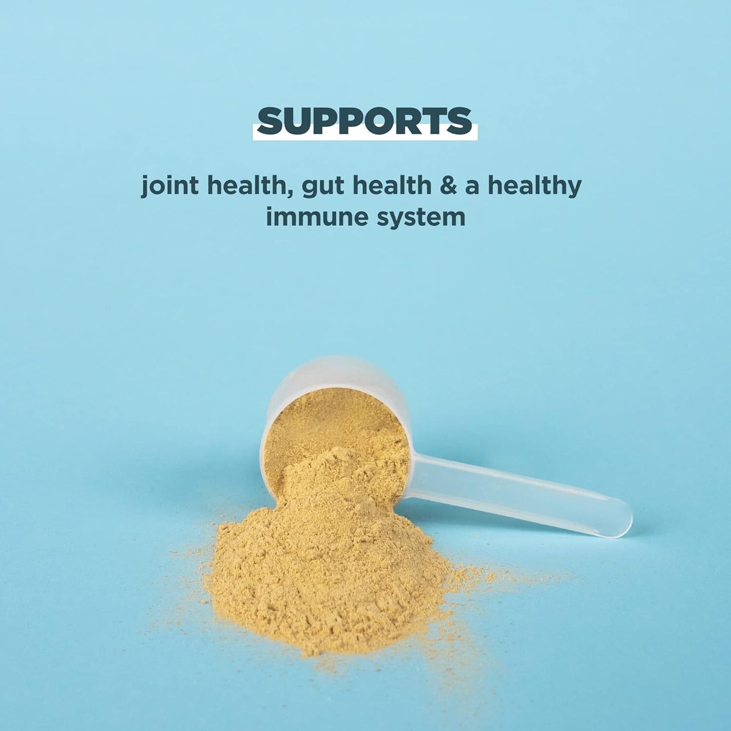 Ancient Nutrition Bone Broth Protein Powder Vanilla 17.4 Oz