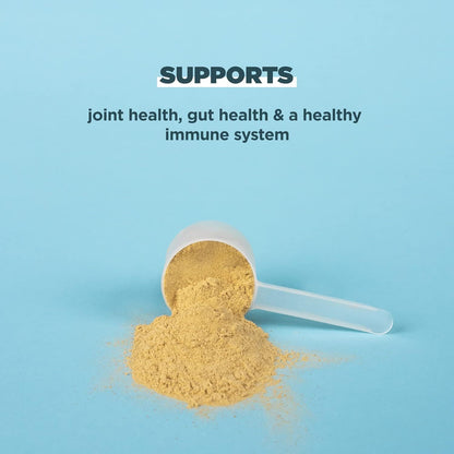 Ancient Nutrition Bone Broth Protein Powder Vanilla 17.4 Oz